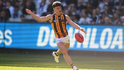 Hawks coach Mitchell makes All-Australian wing call