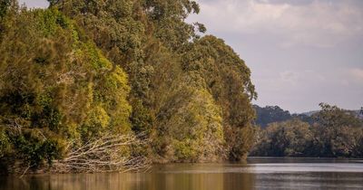 Williams River erosion control works get underway