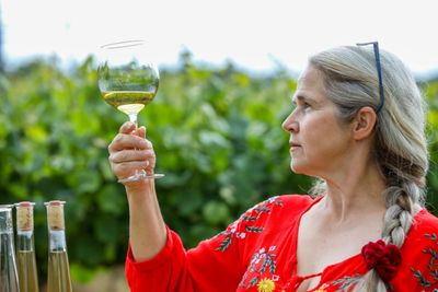 Climate Change A Mixed Blessing For Sun-starved Irish Vintners