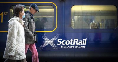 Busy train service to Glasgow disrupted after tree falls on tracks