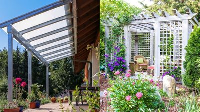 Patio covers vs pergolas – which outdoor structure is best?