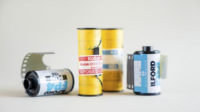 Sizing up film: camera film sizes and types explained