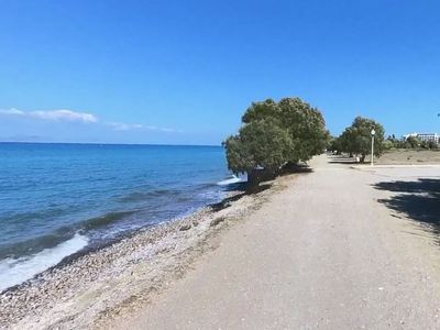 British tourist missing on Greek island of Rhodes as police launch search