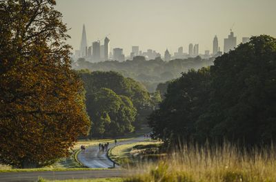 London Duathlon cancelled to 'unforeseen factors' including safety fears over speeding bikes