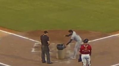 Minor League Manager Loses It, Replaces Umpire With Garbage Can