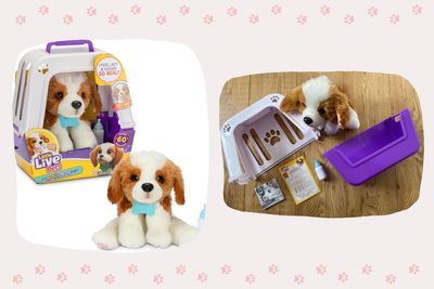 Trust me, this Really Real Puppy toy set will be a big hit with your kids - here's why