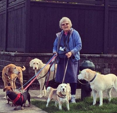 Beloved dog-walker, 80, killed in carjacking - before eight-time felon knifed her dog
