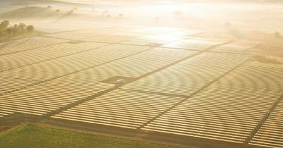 $880m solar farm will be able to power every home in the Hunter Valley