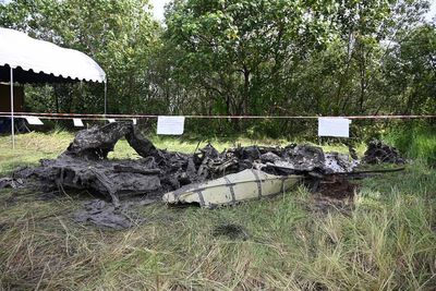 Searchers dig in muddy swamp near Bangkok where plane carrying 5 Chinese tourists, 4 Thais crashed