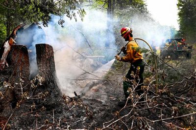 Two states become first in US to ban use of PFAS in firefighters’ protective gear