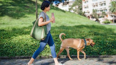 Try this simple trainer-approved loose-leash walking tip and enjoy a stress-free stroll with your dog