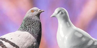 The Museum of London chooses a pooping pigeon for its logo – a symbol of duality, defiance and immigration