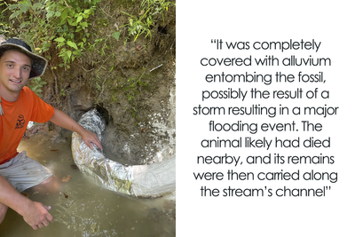 Man Goes Viral Online After His Exploration Walk Turns Into A Massive Mammoth Tusk Discovery