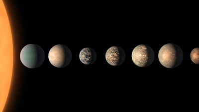 Why the 7 worlds of TRAPPIST-1 waltz in peculiar patterns