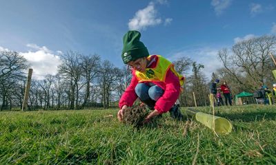 Forest schools provide nurture and nature at a child’s own pace