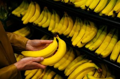 There’s A Fungus Slowly Devastating Bananas Worldwide and Researchers Aren’t Sure How To Stop It