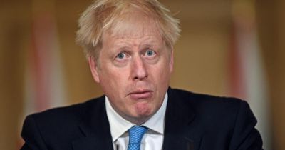 'Irresponsible':  Boris Johnson panned for comparing UK with 'Orwell's 1984'