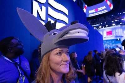 Big cheese and crab hats: The most ridiculous outfits spotted at the DNC