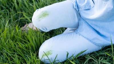 How to remove grass stains — banish blotches for clothes as good as new