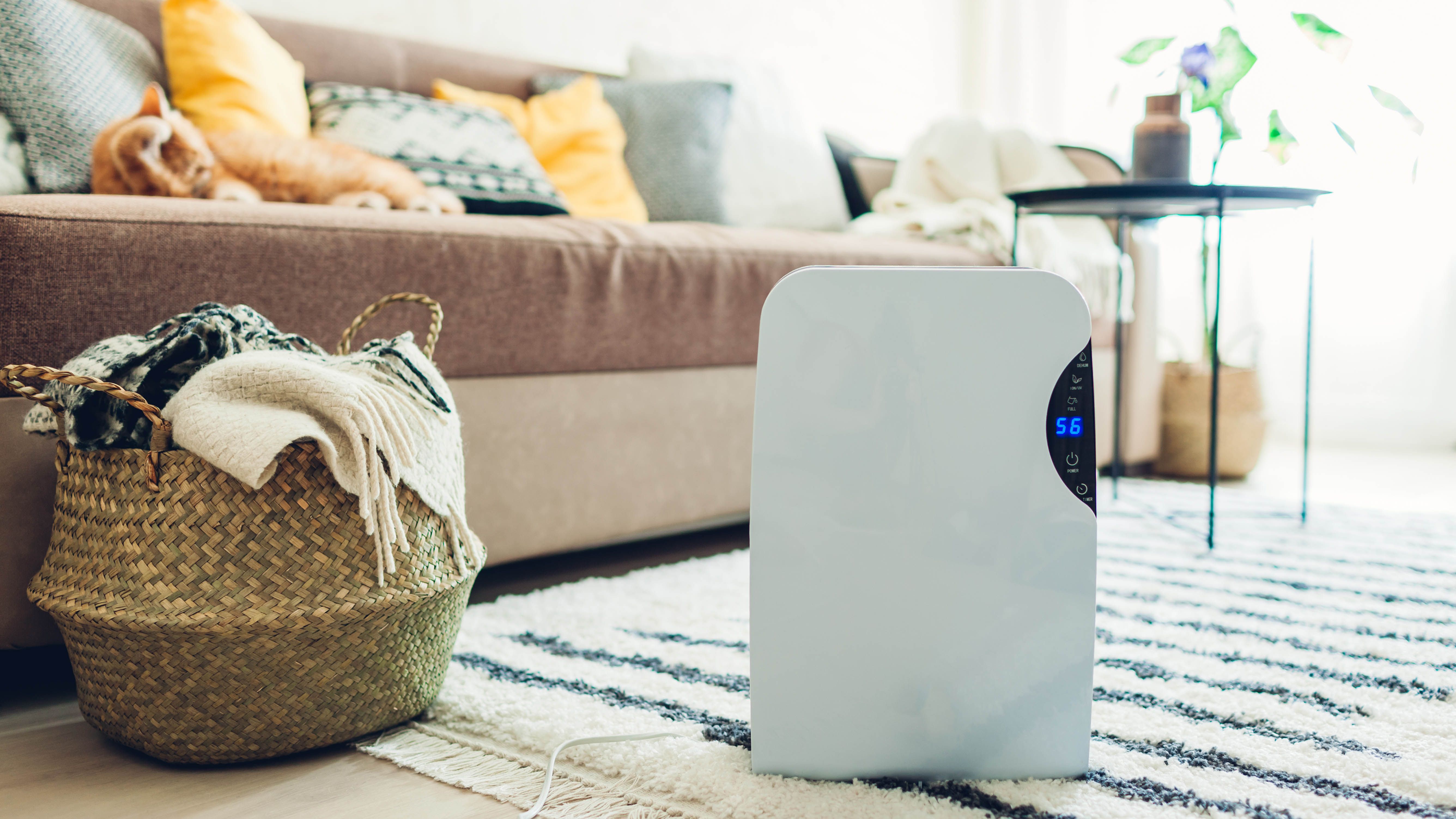 Will A Dehumidifier Cool Down A Room