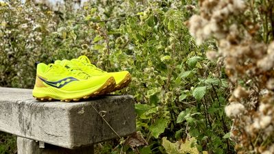 Saucony Peregrine 14 review: old faithful gets more comfortable