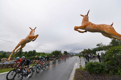 Wild deer wreak havoc at Vuelta a España, leaving riders injured, team car roof rack and bikes damaged