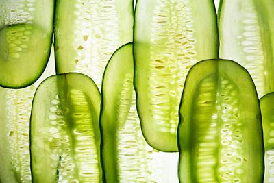 Cucumbers: From side to TikTok star