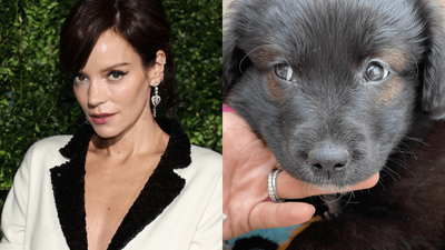 Lily Allen Defends Decision To Rehome Pup After Copping Heat: ‘Stop Acting On Clickbait’