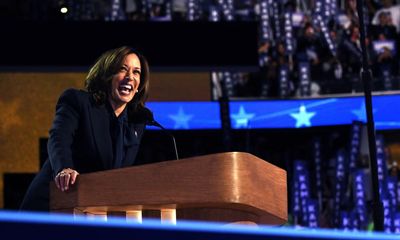 ‘Brat’ Kamala or ‘dragon mother’ Pelosi? This meme machine is a risky strategy in a high-stakes election