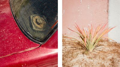 I’ve spent some time in Mexico, and this pair of photos, presented as a diptych, captures the vibe of the country