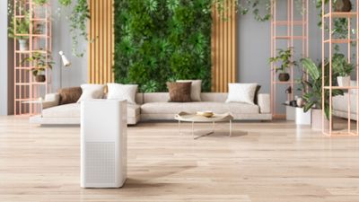 Can air purifiers help with smoke? Plus, other expert advice on how to protect yourself