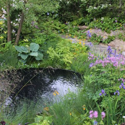 How to soundscape a garden – 8 ways to create a peaceful sanctuary