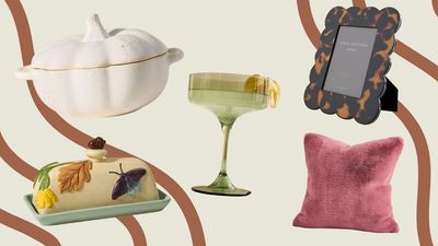 9 things I'm buying from the new Anthropologie homeware collection to transition gently into autumn