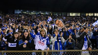 Ciraldo tells Bulldogs to embrace the NRL hype train