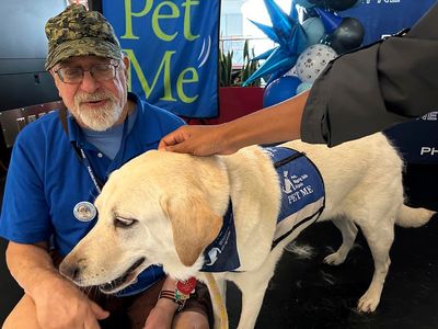 Philadelphia airport celebrates its brigade of stress-busting therapy dogs