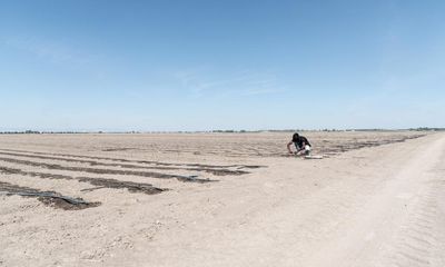 ‘Working here is hell’: latest death of farm worker in 40C heat shocks Italy