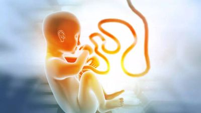 Birth rate drops in Delhi post-COVID, finds government report: Here’s why it is concerning