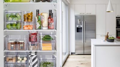 Are you cleaning the dirtiest part of your fridge? Experts warn failing to could lead to eating mold