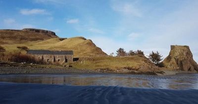 Hunt for mystery predator eating Scottish island's seabirds launched