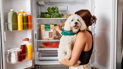 Freshpet Stock Touches New Buy Point As Company Turns Profitable