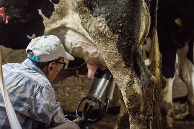 Farmworkers not protected from bird flu