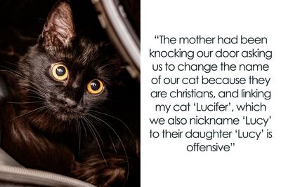 Entitled Neighbor Insists Black Cat’s Name Is Racist And Offensive, Demands Immediate Name Change