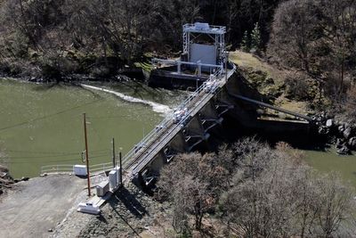 Salmon will soon swim freely in the Klamath River for first time in a century once dams are removed