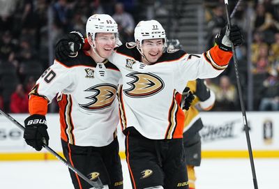 NHL’s Anaheim Ducks Join the Bally Sports Exodus