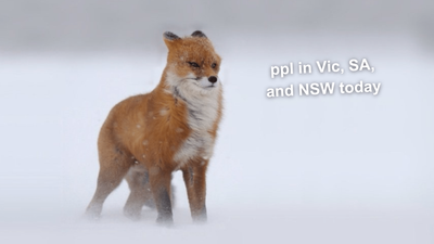 BOM Issue Severe Weather Warnings Of 130km/h Wind Gusts To Hit NSW, Vic & SA: ‘Prepare Now’