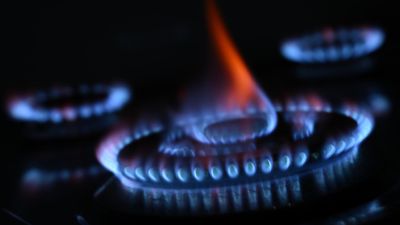 Gas pipes supply solid cash flow in energy transition