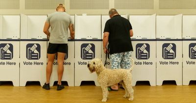 Dungog's 124-year-old council candidate to breathe fresh life into election