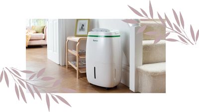 9 surprising dehumidifier mistakes that are costing you time and money