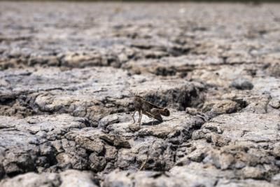 Greece Faces Water Crisis Amid Drought And Tourism Boom