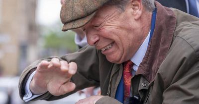 Man given suspended sentence after throwing two objects at Nigel Farage